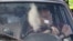 Refugee fleeing in a car damaged by shrapnel in Zaporizhzhia