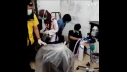 为防新型冠状病毒传播 印尼扑杀数百只蝙蝠