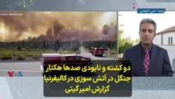 دو کشته و نابودی صد‌ها هکتار  جنگل در آتش سوزی در کالیفرنیا گزارش امیر گیتی