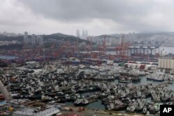 Kapal nelayan berlabuh jelang kedatangan Topan Hinnamnor di sebuah pelabuhan di Busan, Korea Selatan, Minggu, 4 September 2022. (Ha Kyung-min/Newsis via AP)