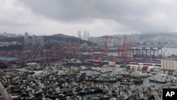 Fishing boats are anchored ahead of the arrival of Typhoon Hinnamnor at a port in Busan, South Korea, Sept. 4, 2022.