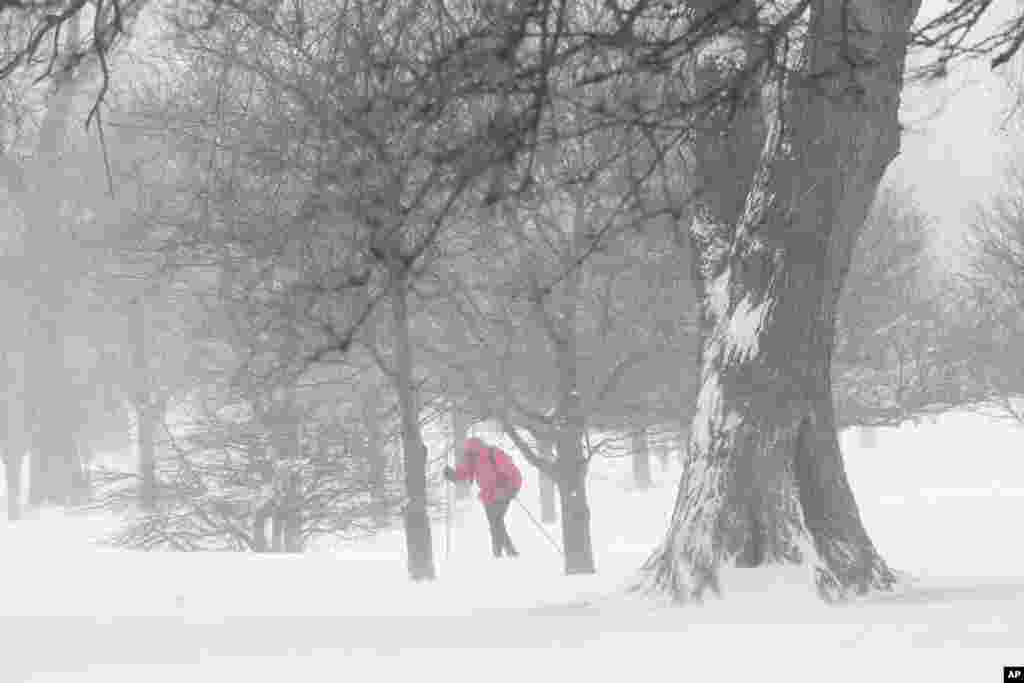 Un esquiador de fondo solitario esquía a través de la nieve profunda, sorteando los vientos que soplan en el Lincoln Park de Chicago.