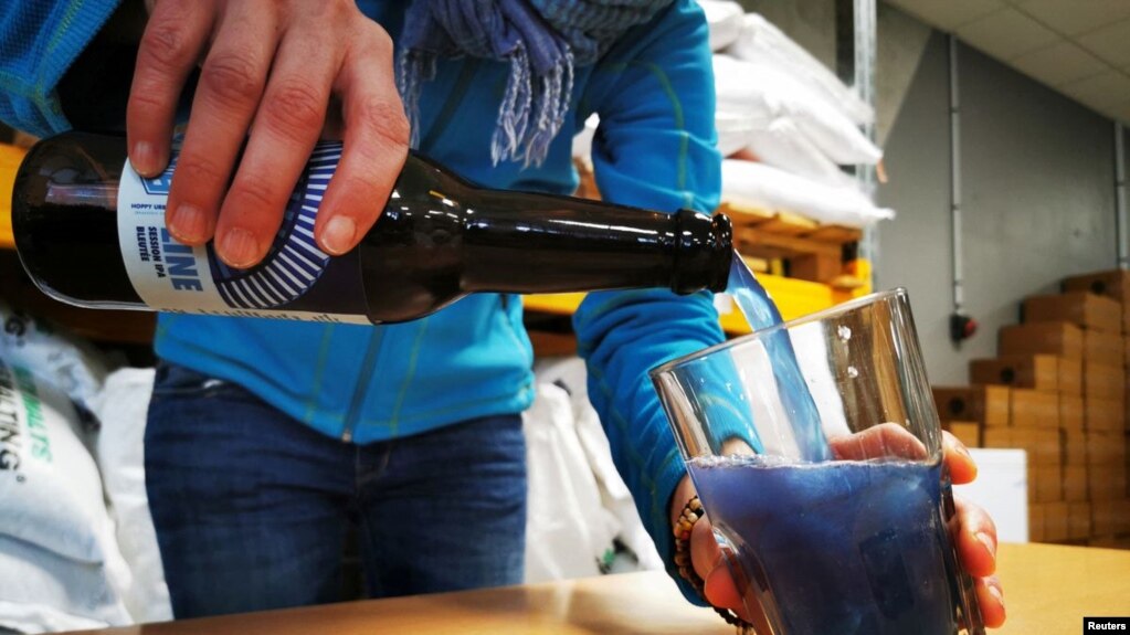 Hoppy Urban Brew (HUB) worker Mathilde Vanmansart pours a bottle of the Line blue beer, made with spirulina algae, into a glass during inside the brewery near Lille, France, January 31, 2022. REUTERS/Ardee Napolitano