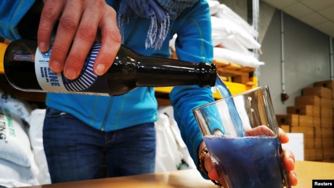 Hoppy Urban Brew (HUB) worker Mathilde Vanmansart pours a bottle of the Line blue beer, made with spirulina algae, into a glass during inside the brewery near Lille, France, January 31, 2022. REUTERS/Ardee Napolitano