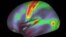 A map of myelin content (red, yellow are high myelin; indigo and blue are low myelin) in the left hemisphere of cerebral cortex is pictured in this undated handout image.