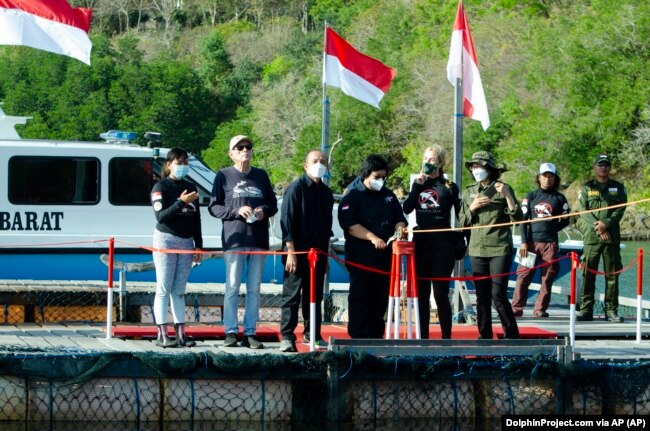 Menteri Lingkungan Hidup dan Kehutanan Siti Nurbaya Bakar, tengah, meresmikan pelepasan lumba-lumba yang diselamatkan Rocky, Rambo dan Johnny kembali ke alam liar di Teluk Banyuwedang, Bali Barat, Sabtu, 3 September 2022. (DolphinProject.com via AP)