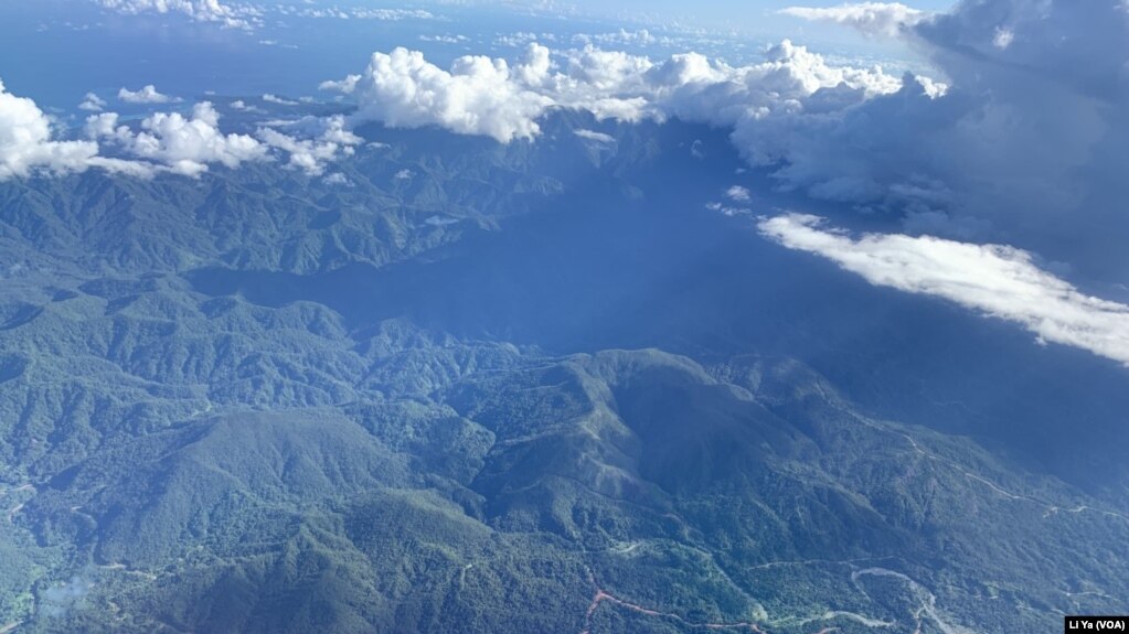 从空中俯瞰所罗门群岛，伐木公司在森林里为伐木而修建的道路清晰可见。（美国之音莉雅拍摄）(photo:VOA)