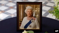 A white rose placed by French President Emmanuel Macron near a portrait of Queen Elizabeth, following the passing of Britain's Queen Elizabeth, is seen at the British Embassy in Paris, France, Friday, Sept. 9, 2022