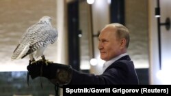 俄羅斯總統普京參加俄羅斯堪察加地區鳥類學家會議。 （2022年9月5日）