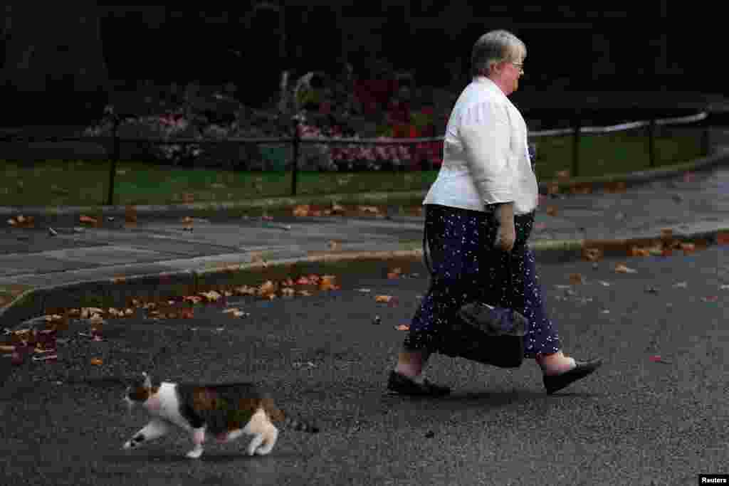 New British Health Secretary and Deputy Prime Minister Therese Coffey walks next to Larry the cat at Number 10 Downing Street in London, Sept. 6, 2022. (REUTERS/Phil Noble)
