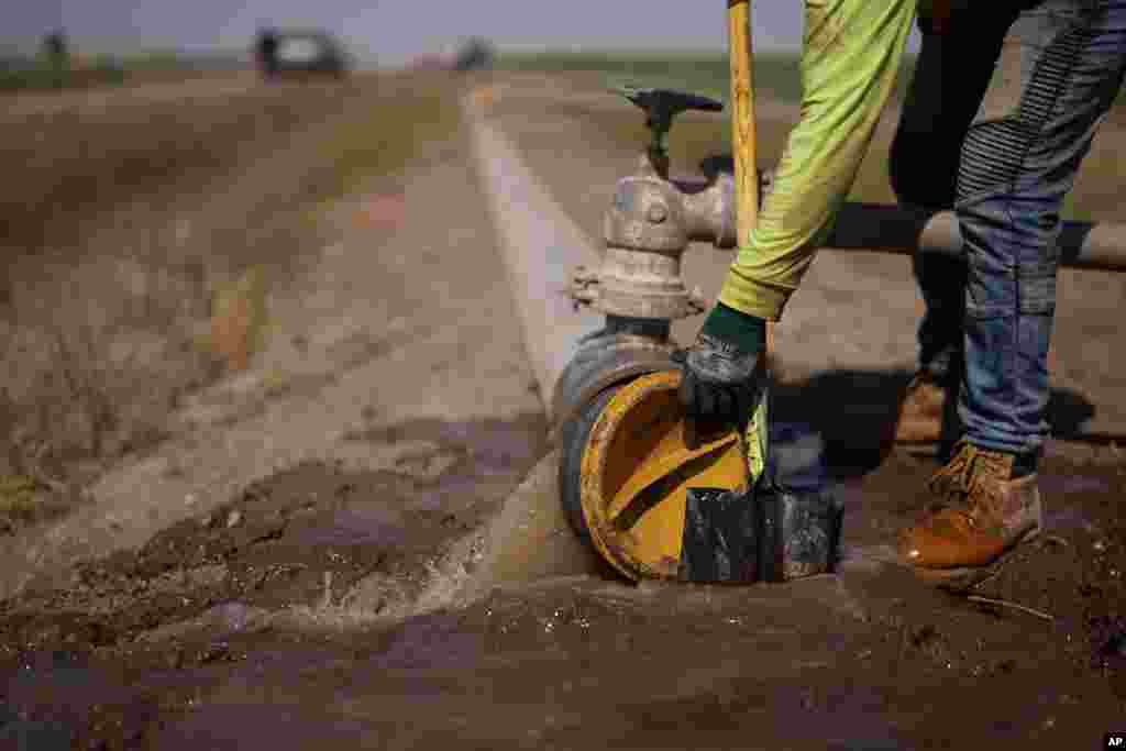 FILE - A worker diverts water as a sprinkler system is installed for alfalfa at the Cox family farm, Aug. 15, 2022, near Brawley, Calif. 