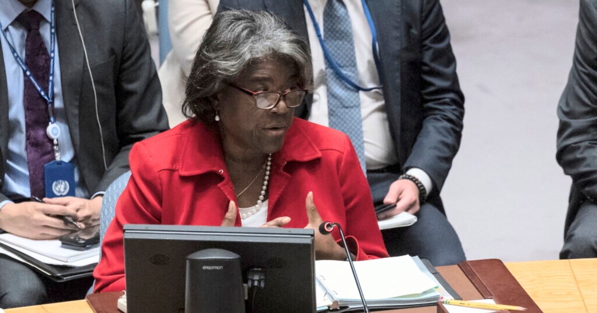 US proposes permanent UN Security Council seats for Africa