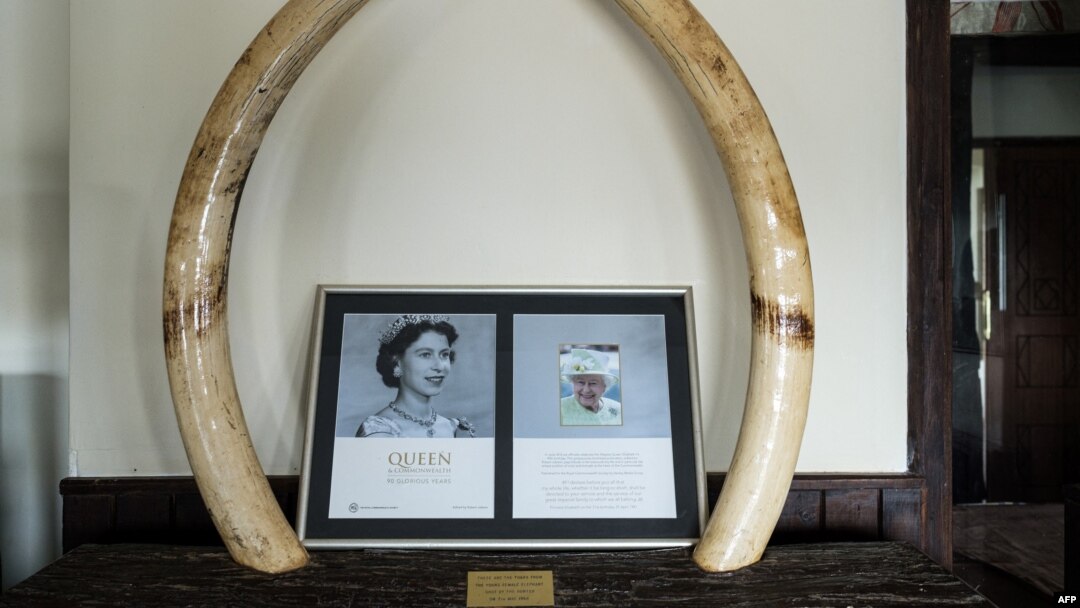 FILE — Memorial items are displayed at Treetops Lodge where Britain's Queen Elizabeth II stayed the night her father died, marking the beginning of her reign in 1952.