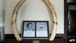 FILE — Memorial items are displayed at Treetops Lodge where Britain's Queen Elizabeth II stayed the night her father died, marking the beginning of her reign in 1952.