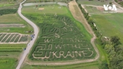 «Ми разом з Україною» – гігантський лабіринт зʼявився у полі на фермі у штаті Нью-Йорк. Відео
