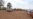 Malawi Faces Another Nationwide Fuel Shortage