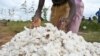 Un agriculture dans une ferme près de Boromo, le 19 octobre 2021.