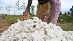 Aménagement des terres agricoles au Faso; prévisions de la grande réunion de l'OMC