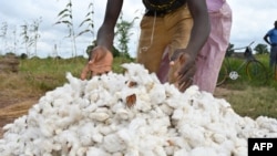 Un agriculture dans une ferme près de Boromo, le 19 octobre 2021.