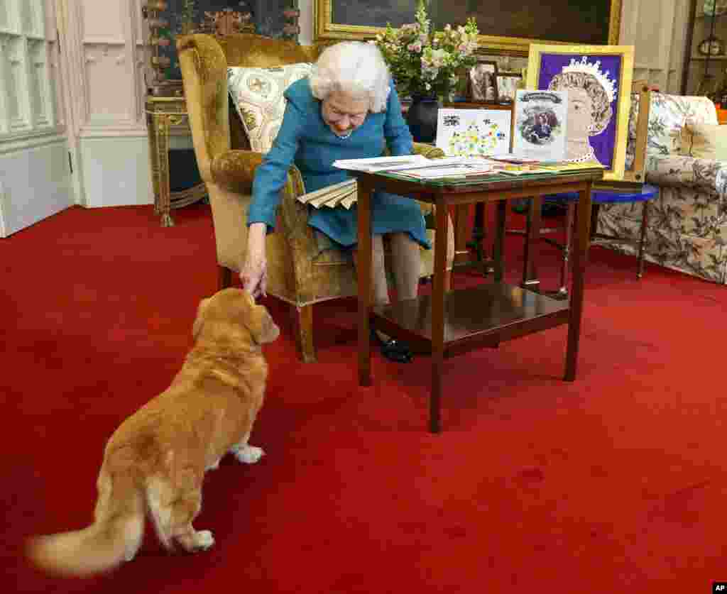 Queen Elizabeth II, joined by one of her dogs, looks at a display of memorabilia from her Golden and Platinum Jubilees in the Oak Room at Windsor Castle, Windsor, England, in this undated but recent image that was released Feb. 4, 2022.