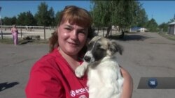 Чорнобильським собакам знайшли притулок у США. Відео