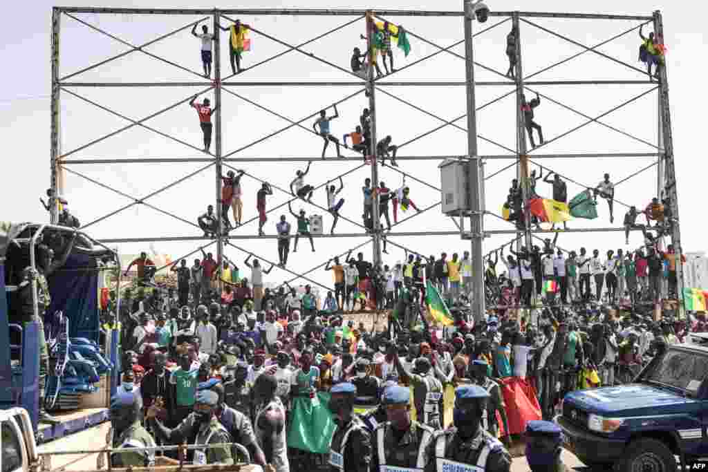 Supporters cheers ahead of the Senegalese football team&#39;s arrival in Dakar after winning the Africa Cup of Nations for the first time. (Photo by JOHN WESSELS / AFP)