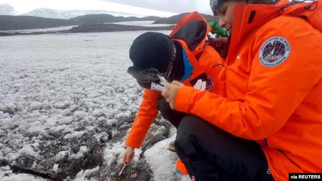 Argentine doctor Mariela Torres and intern doctor Nathalie Bernard take samples of the Antarctica soil for their project to use native microorganisms to clean up pollution from fuels and potentially plastics. Florencia Brunetti/Handout via REUTERS