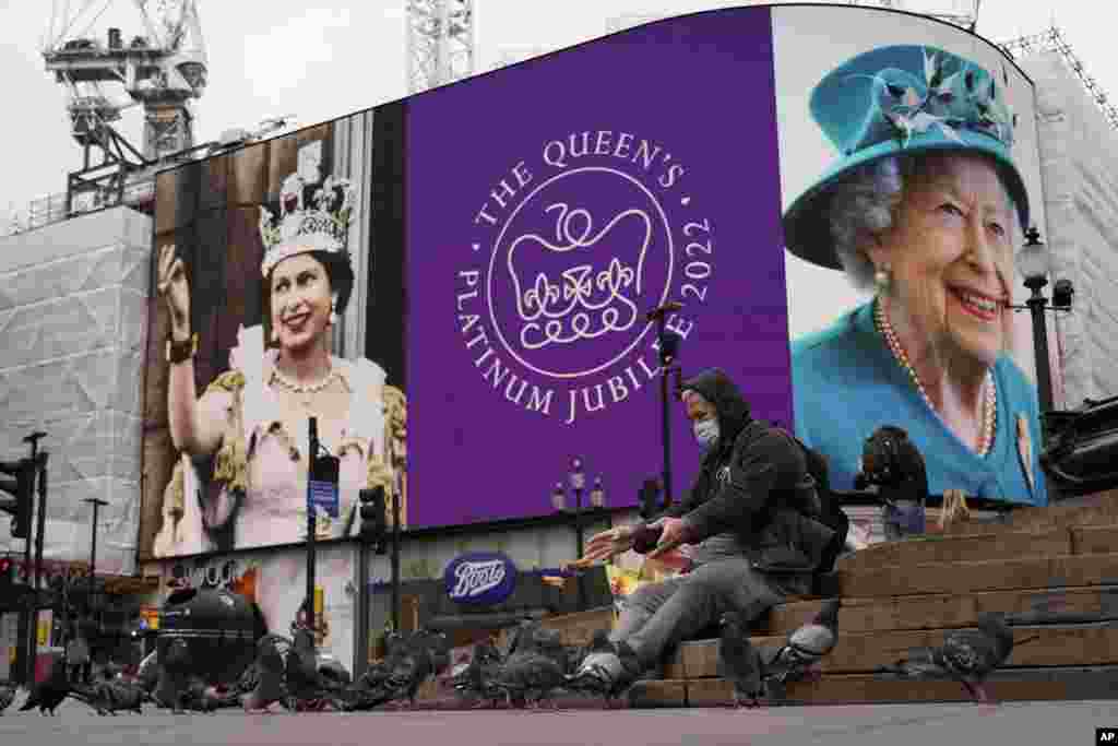 A man feeds birds as the screen in Piccadilly Circus is lit to celebrate the 70th anniversary of Britain&#39;s Queen Elizabeth&#39;s accession to the throne, in London.