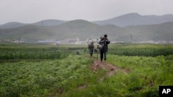 FILE - A man and woman carry their bicycle through farm fields in Pyongsong, North Korea. 