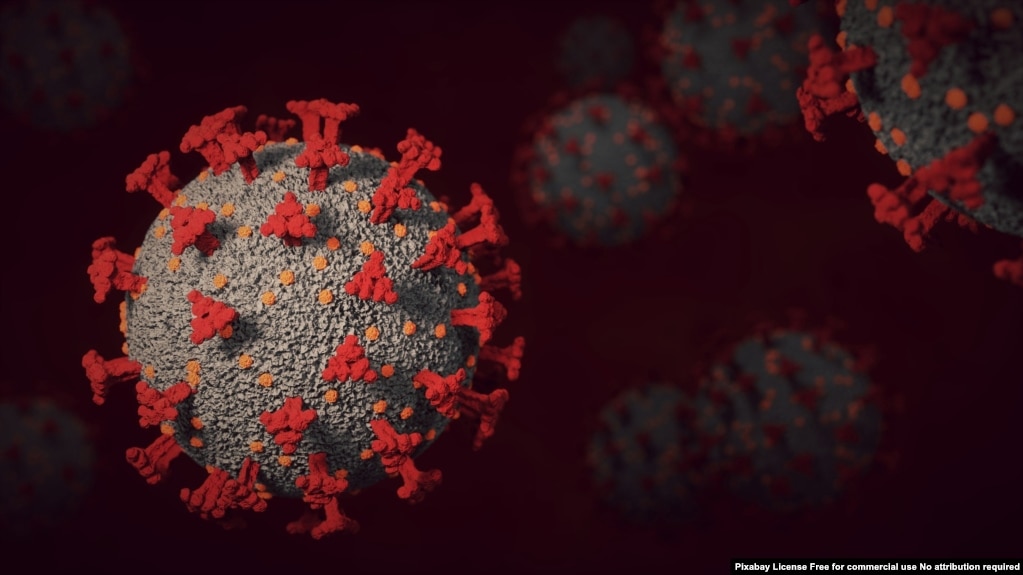 Biến thể virus corona COVID-19 Omicron.