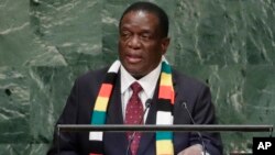 Mutungamiri wenyika VaEmmerson Mnangagwa vasvika kuGuinea kwavakakokwa nemutungamiri wenyika iyi, VaAlpha Conde.