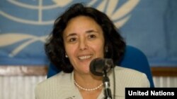 聯合國特別代表澤魯居伊