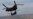 NATO Chief: War Games Meant to ‘Send Message’