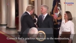 Trump Names Neil Gorsuch to US Supreme Court