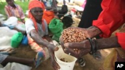 Zimbabwe Hunger Crisis