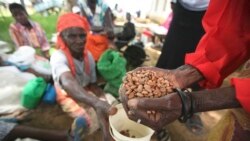 UN blames conflicts, extreme weather for global food insecurity