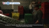 VOA60 World - Trump says tariffs on most goods imported from Mexico will be postponed until April 2