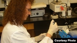 한 연구원이 항생제 적정 복용량을 측정하고 있다. (자료사진)