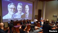 瑞典诺贝尔委员会在斯德哥尔摩宣布三位科学家荣获2019年的诺贝尔生理学和医学奖。（2019年10月7日）