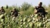 U.S. Counternarcotics Grant To Afghanistan