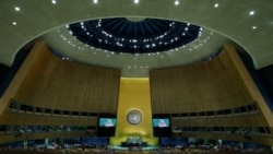 اقوام متحدہ کی جنرل اسمبلی میں کثرت رائے سے قرارداد منظور کی گئی۔