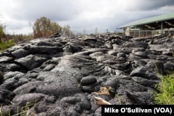 This photo of the Kilauea lava flow at Pahoa, Hawaii, was taken Jan. 22. The lava is now flowing on another, nearby leg.