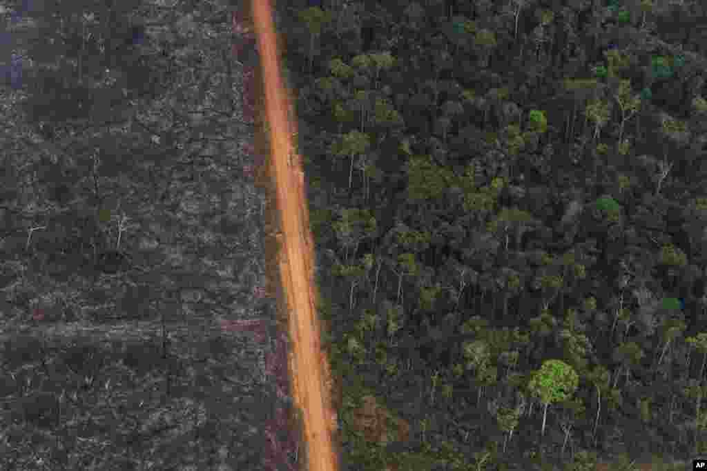 A lush forest sits next to a field of charred trees in Vila Nova Samuel, Brazil, Aug. 27, 2019.