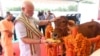 Hindiston Bosh vaziri Narendra Modi sigirni yemish bilan siylamoqda, Uttar-Pradesh, Hindiston.