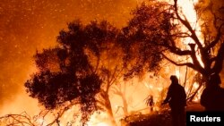 Bomberos tratan de contener las llamas en el incendio Thomas, en el condado de Santa Bárbara, cerca de Los Ángeles.