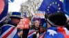 Demonstran Inggris Tuntut Pemungutan Suara soal Kesepakatan Brexit