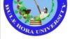 Yunivarsitii Bulee Horaa Keessatti Hiraarsii fi Haleellaan Gosa Keenyatti Xiyyeeffate Nu Irratti Geggeessame, Jedhu Barattoonni Dhalata Tigiraay Tokko Tokko. Hoogganaan Yunivarsitichaa Garuu Ni Haalan
