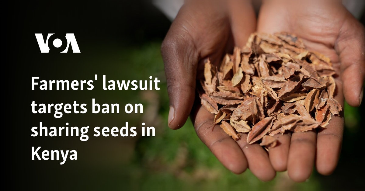 Farmers' lawsuit targets ban on sharing seeds in Kenya