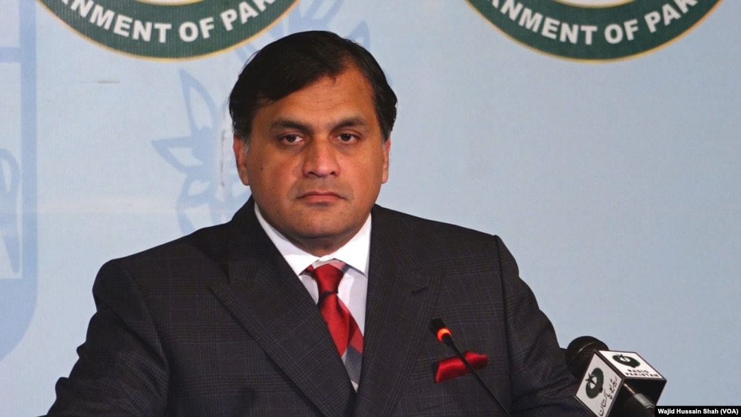 ڈاکٹر محمد فیصل، ترجمان دفتر خارجہ