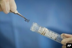 A technician of the Fiocruz institute stores Aedes aegypti mosquitoes to be used in research, in Recife, Pernambuco state, Brazil, Jan. 27, 2016.